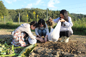 農薬を使わない安心・新鮮！秋野菜収穫体験